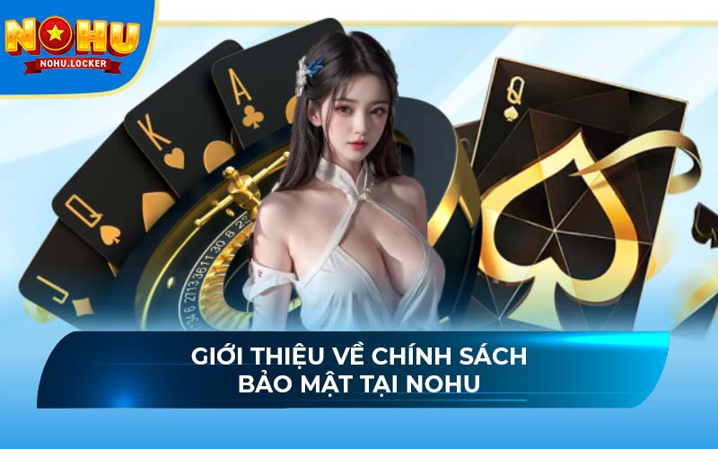 Giới thiệu về chính sách bảo mật tại NOHU